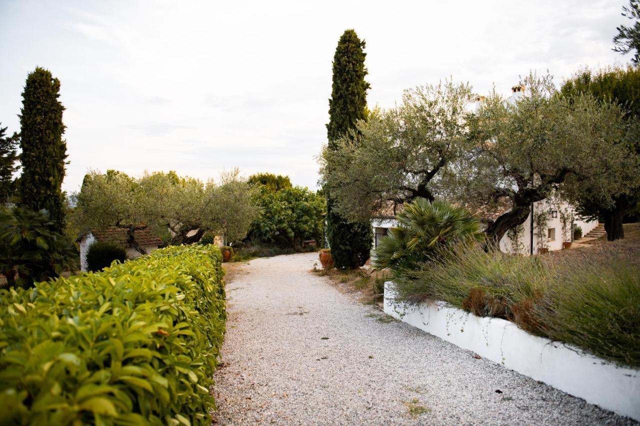 Casale Delle Lavande 圣安杰洛城 外观 照片