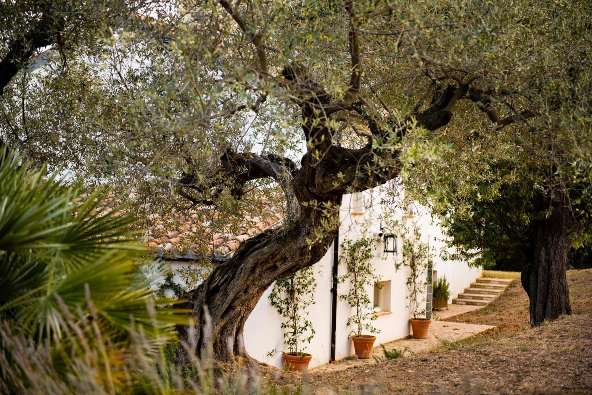 Casale Delle Lavande 圣安杰洛城 外观 照片
